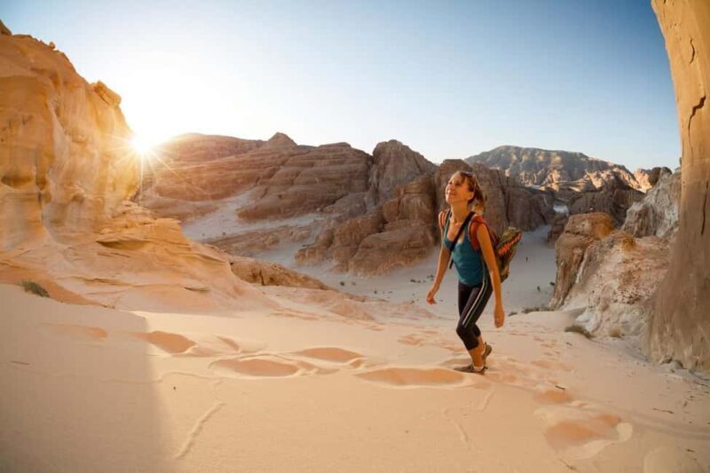 Marsa Alam Bedouin Nights: Jeep Safari, Dinner & Stargazing - A Detailed Look at the Experience