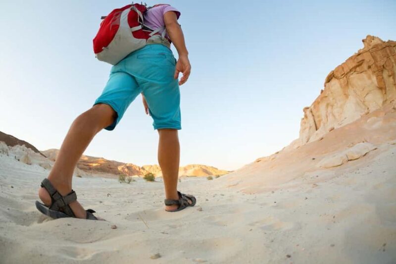 Marsa Alam Bedouin Nights: Jeep Safari, Dinner & Stargazing - Who Should Consider This Tour?