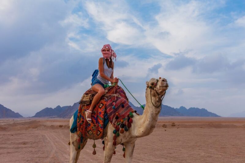 Marsa Alam Bedouin Nights: Jeep Safari, Dinner & Stargazing - FAQ