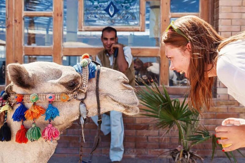 Marsa Alam Bedouin Nights: Jeep Safari, Dinner & Stargazing - Final Thoughts