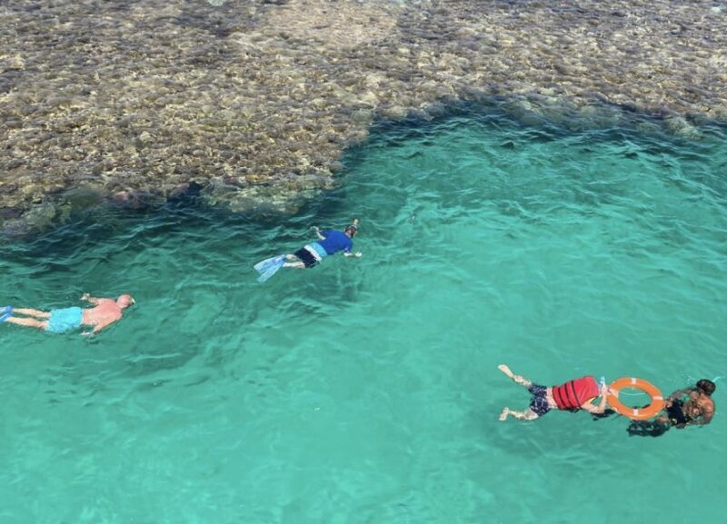 Marsa Alam: Elite vip Turtle bay snorkeling with BBQ Lunch - Who Will Love This Tour?