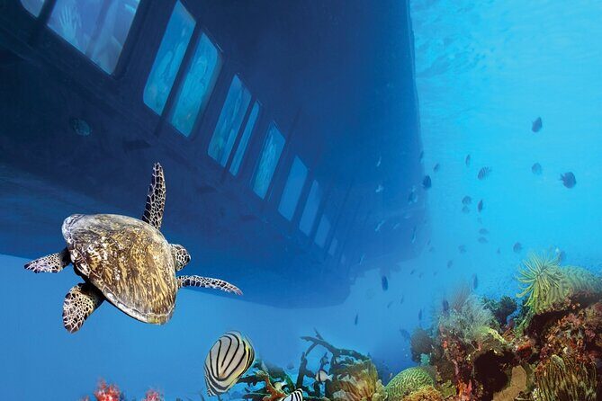 Marsa Alam: Royal Seascope Submarine cruise with pickup - What Travelers Say: Authentic Perspectives