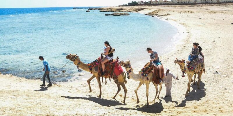 Marsa Alam: Sea and Desert Camel Riding Tour - Key Points