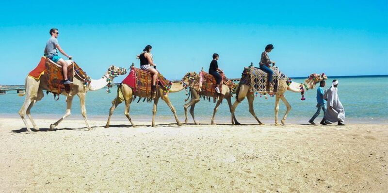 Marsa Alam: Sea and Desert Camel Riding Tour - What Makes This Tour Special?