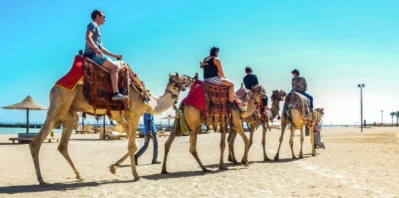 Marsa Alam: Sea and Desert Camel Riding Tour - Price and Value
