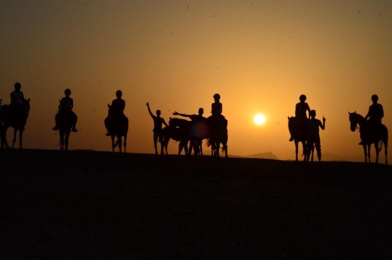 Marsa Alam: Sea and Desert Horse Riding Tour - Key Points