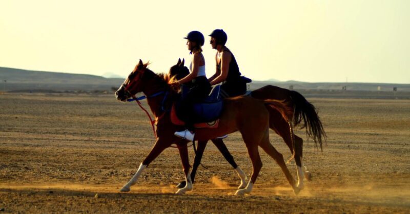 Marsa Alam: Sea and Desert Horse Riding Tour - An In-Depth Look at the Marsa Alam Horse Riding Experience