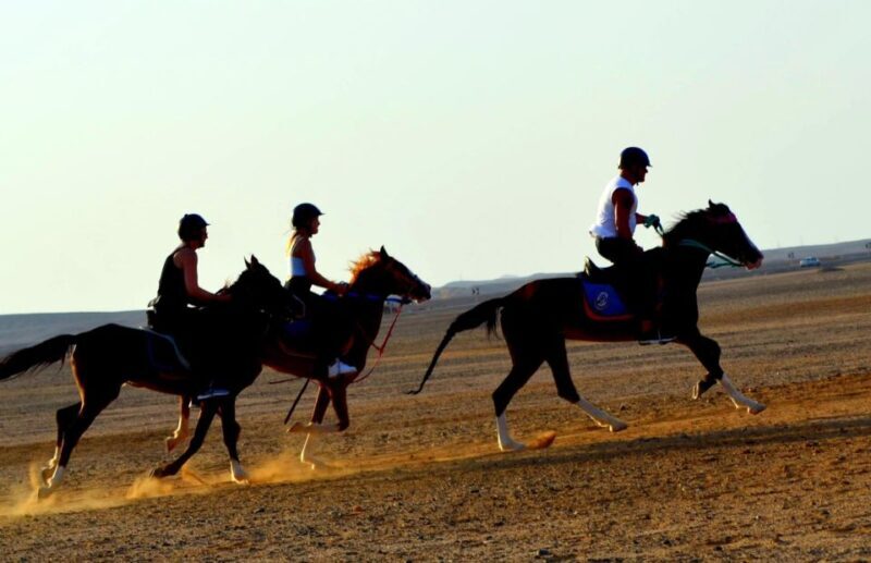 Marsa Alam: Sea and Desert Horse Riding Tour - The Value of the Experience