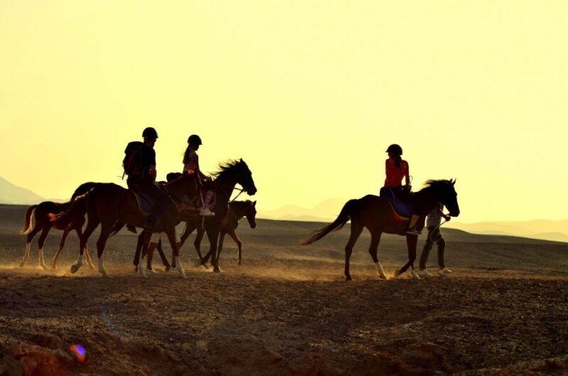 Marsa Alam: Sea and Desert Horse Riding Tour - Details That Matter