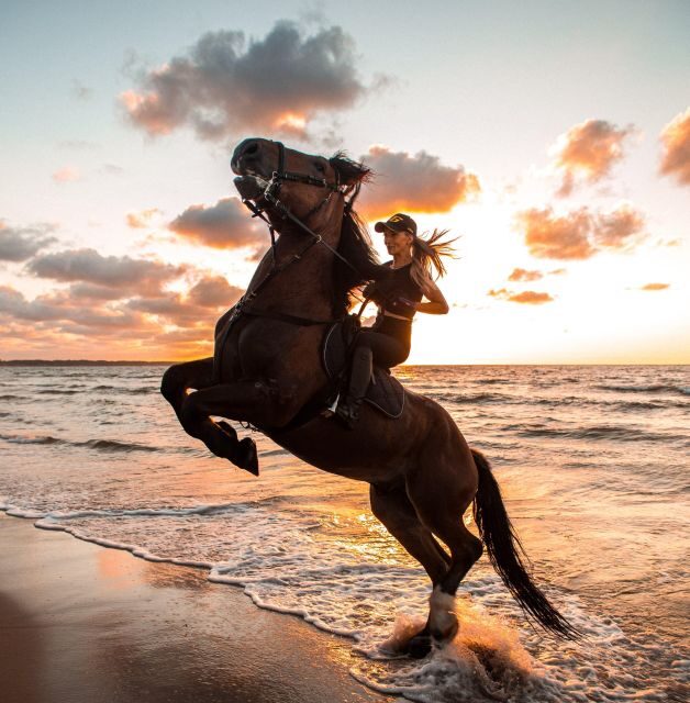 Marsa Alam: Sea and Desert Horse Riding Tour - Authentic Feedback from Participants