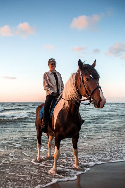 Marsa Alam: Sea and Desert Horse Riding Tour - The Sum Up