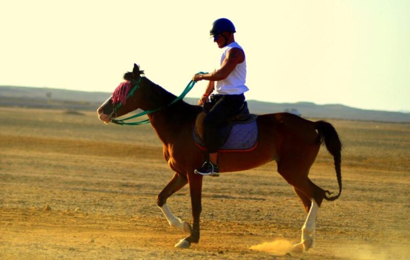Marsa Alam: Sea and Desert Horse Riding Tour - FAQ
