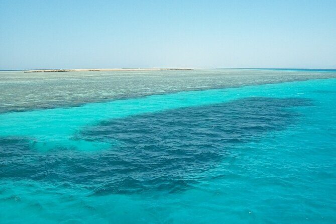 Marsa Alam: Snorkel with Sea Cows and Turtles at Marsa Mubarak - An In-Depth Look at the Experience