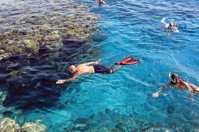 Marsa Alam: Snorkeling at Abu Dabab Beach - An Ideal Introduction to Red Sea Snorkeling