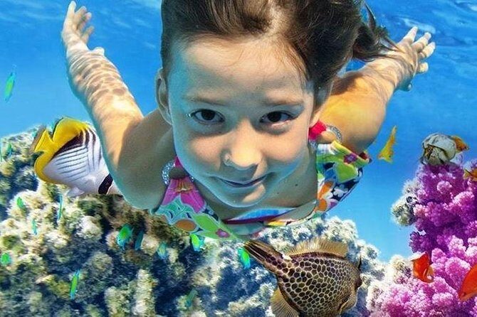Marsa Alam: Snorkeling at Abu Dabab Beach - Why Abu Dabab Beach is Special