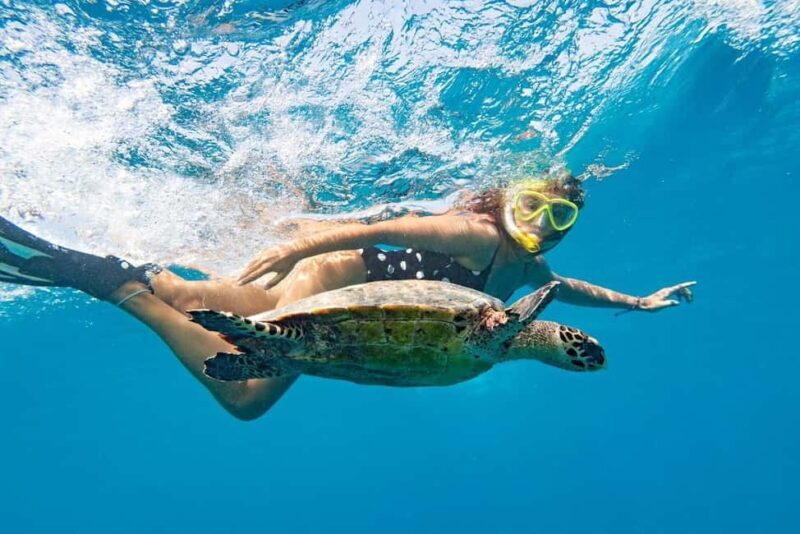 Marsa Alam: Snorkeling with Sea Turtles Marsa Mubarak - An In-Depth Look at the Tour Experience