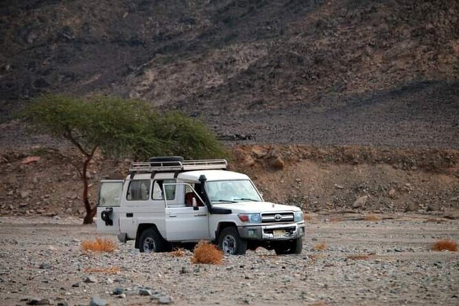 Marsa Alam Super Safari Quad, Jeep, Camel and Party with Dinner - Final Thoughts