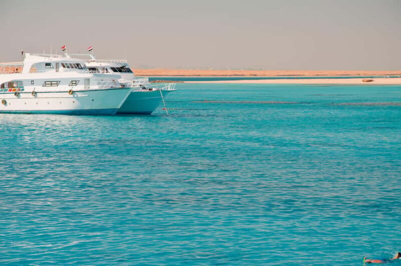 Marsa Alam:Sataya Reefs Dolphin Snorkeling Cruise with Lunch - FAQ