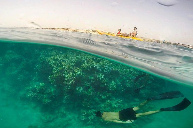 Marsa Mubarak Full Day and one intro Diving With Lunch, Transfer - Marsa Alam - An In-Depth Look at the Marsa Mubarak Tour