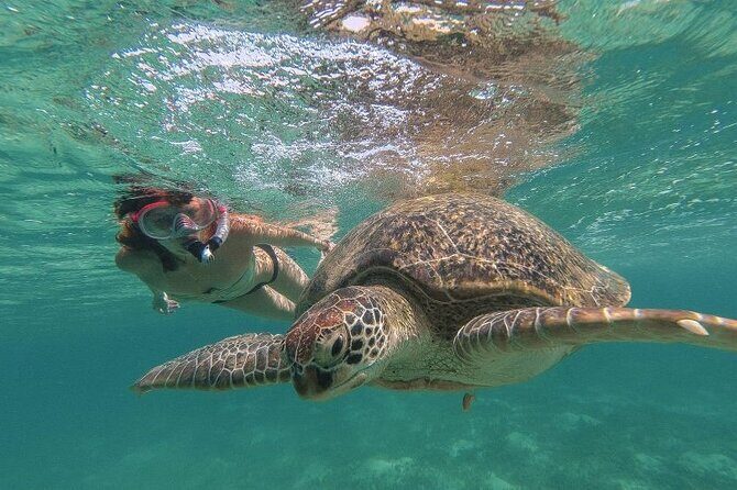 Marsa Mubarak Sea Snorkeling Boat Trip From Marsa Alam - The Sum Up