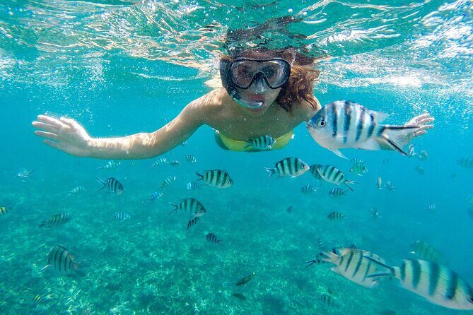 Marsa Mubarak Snorkeling Sea Trip & Transfer & Lunch Marsa Alam - The Sum Up: Is It Worth It?