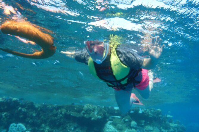 Marsa Mubarak Snorkeling Sea Trip & Transfer & Lunch Marsa Alam - FAQ: Your Practical Questions Answered