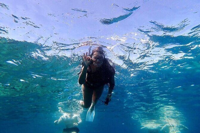 Marsa Mubarak Snorkeling with Dugongs & Turtles From Marsa Alam - Why This Tour Stands Out