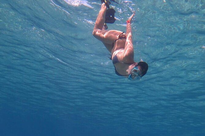 Marsa Mubarak Snorkeling with Dugongs & Turtles From Marsa Alam - Final Thoughts