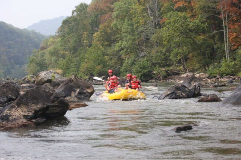 Marshall: French Broad Whitewater River Rafting Experience - A Close Look at the French Broad River Rafting Experience