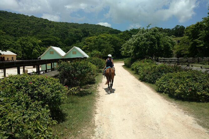 Martha Brae Rafting, Horseback Riding and Luminous Lagoon - Triple Treat - Who Will Love This Tour?
