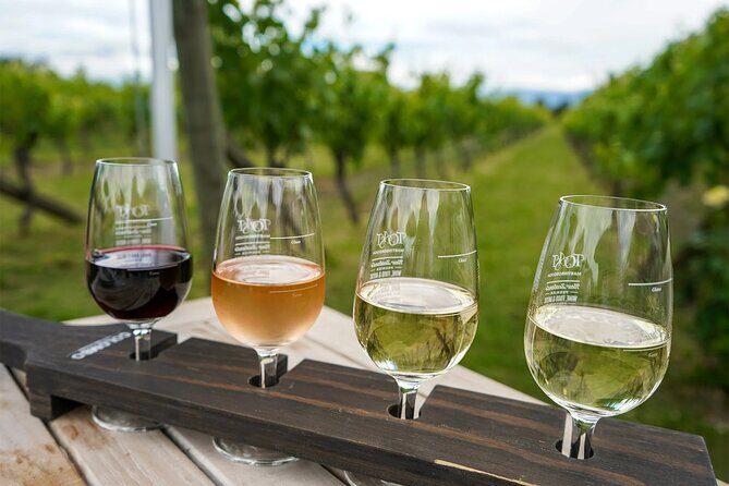 Martinborough Region Day Trip including beverage sampling - Analyzing the Value: Is It Worth It?