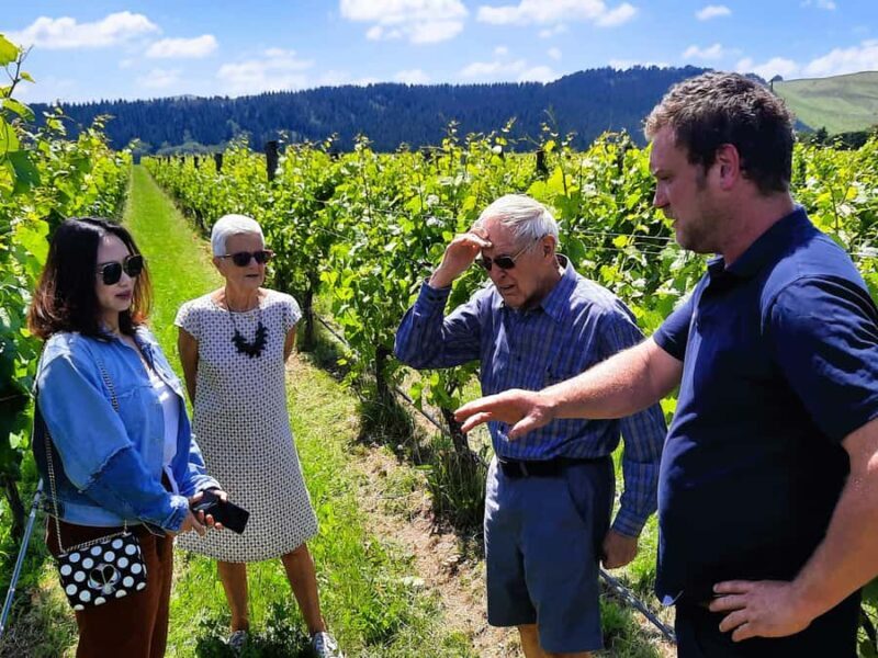 Martinborough Wine and Food Tour with Lunch from Wellington - Authenticity and Value for Money