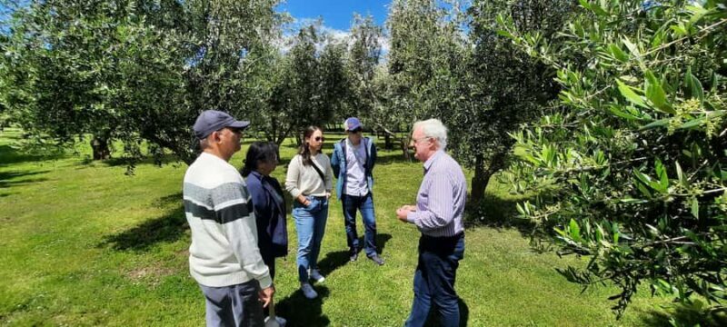Martinborough Wine and Food Tour with Lunch from Wellington - FAQ