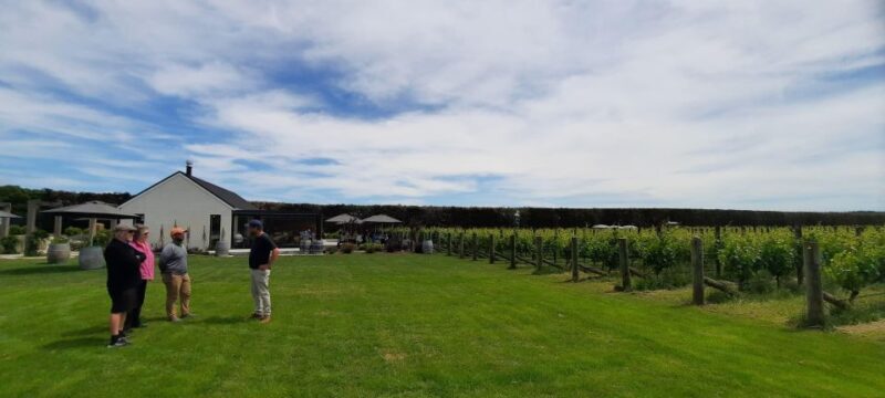 Martinborough Wine and Food Tour with Lunch from Wellington - Summing It Up