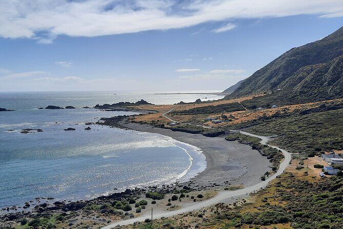 Martinborough Wine and Wild Coast Tour from Wellington - An In-Depth Look at the Tour Itinerary