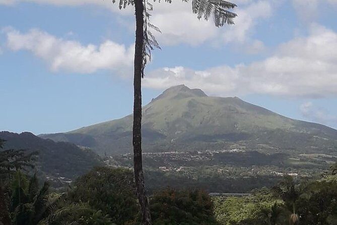 Martinique North Island Private Tour - Who Is This Tour Best For?