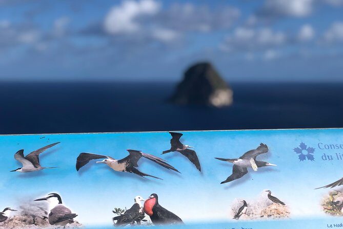 Martinique Shore Excursion - Authentic Tour of Southern Martinique - A Full Breakdown of the Tour Experience