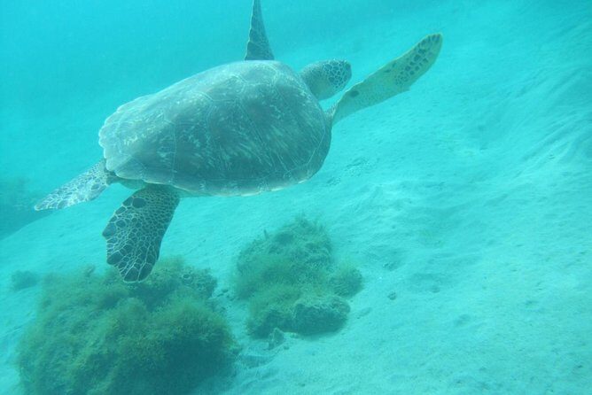 Martinique South Island Private Tour - Key Points