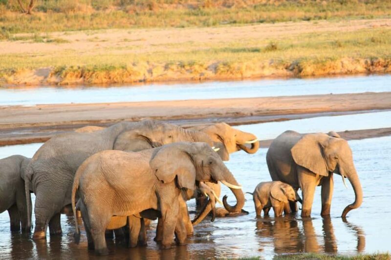 Marvelous 5-day Serengeti National Park to Ngorongoro Crater - The Practical Side: What’s Included and What’s Not