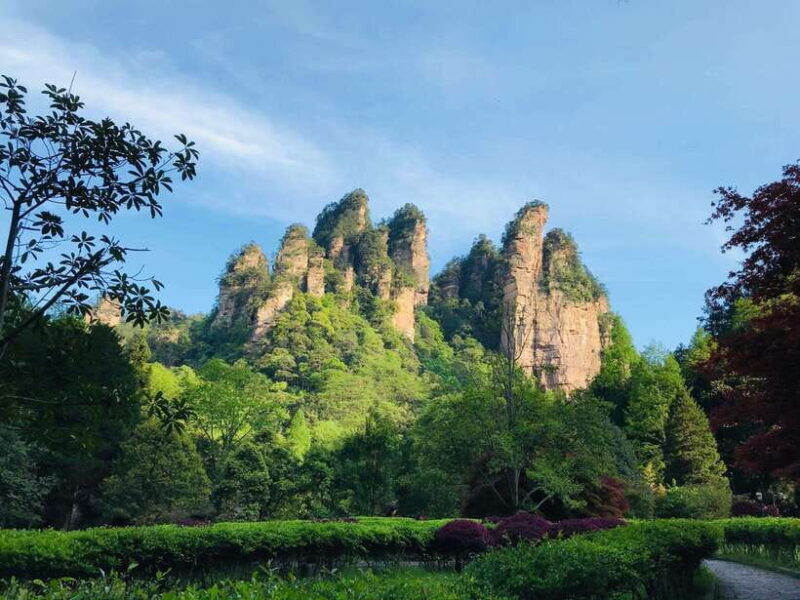 Marvelous Zhangjiajie Day Tour With National Forest Park - Key Points