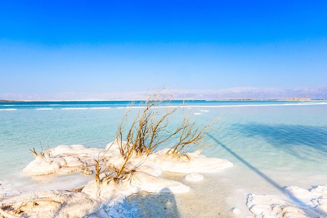 Masada and Dead Sea from Tel Aviv - What Do the Reviews Say?