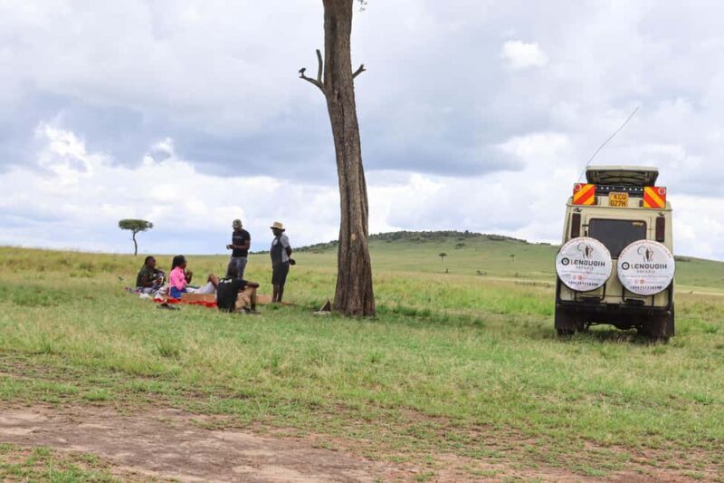 Masai Mara: 2 Day Private Safari In a 4x4 Land Cruiser - Benefits & Considerations