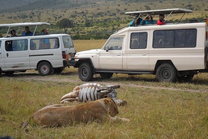 Masai Mara Budget 2 nights tented camp road Safari - Key Points