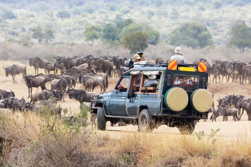 Masai Mara Budget 2 nights tented camp Safari on 4x4 Jeep - An Overview of the Experience
