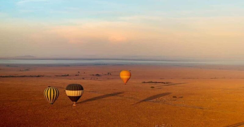 Masai Mara Day Tour and Masai Village visits - Key Points