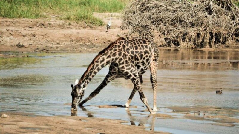 Masai Mara Day Tour and Masai Village visits - FAQ