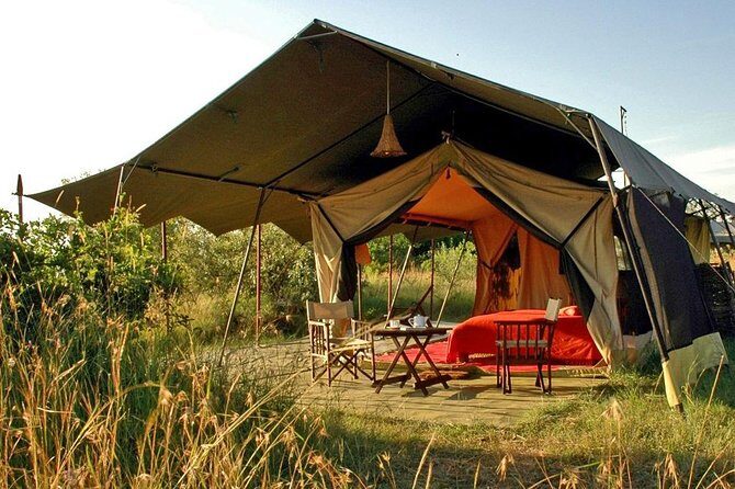 Masai Mara Game Reserve Safari Tour, 4 Days 3 Nights - Who Will Love This Safari?