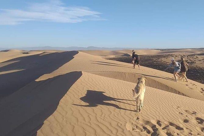 Massa+Mini Sahara and Tiznit silver city by Jeep - Final Thoughts: Why Consider This Tour?