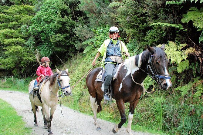 Matakana Art & Horse Riding Experience Private Tour From Auckland - Overview and First Impressions