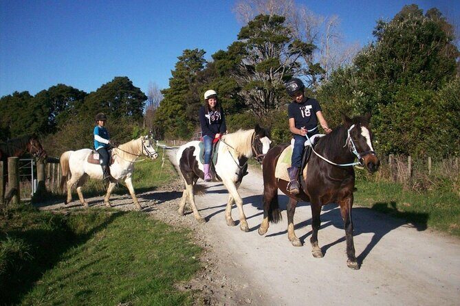 Matakana Art & Horse Riding Experience Private Tour From Auckland - FAQs